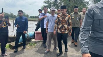 Vice President Reviews the Asphalting of Sragen Village Roads which was Originally a Concrete Rabat Result of Community Self-Help