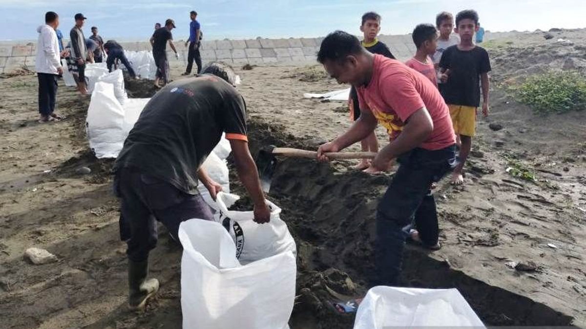 防止抢劫洪水，BPBD西亚齐沿着海岸线沿700米建造紧急堤防