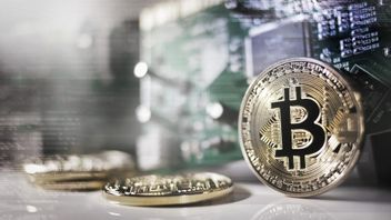 Oil Prices Plunge, Bitcoin's Turn to Rp1.2 Billion