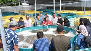 Gelar Lokakarya Internasional Ekonomi Biru, Indonesia Ajak Anggota IORA Tinjau Budidaya Lele di Padang