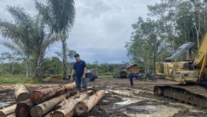 Tak Mau Ada yang Cari Untung saat Bencana, Kemenhut Tutup Celah Peredaran Kayu Ilegal