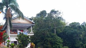 Mensos Lepasliarkan Satwa Langka Elang Brontok di Tahura Menumbing Bangka Barat