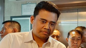 Djarot S'assure Que Bobby Nasution Est Accompagné De Gerindra Cadres à Medan Pilkada