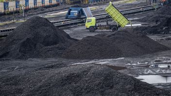 In the Energy Transition Period, KESDM Dismisses the Coal Industry Sunset