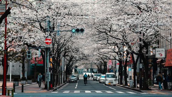 Study: Tokyo Is The Best City To Live In