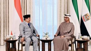 Presiden Prabowo Temui MBZ di Abu Dhabi Diskusi Geopolitik-Gaza