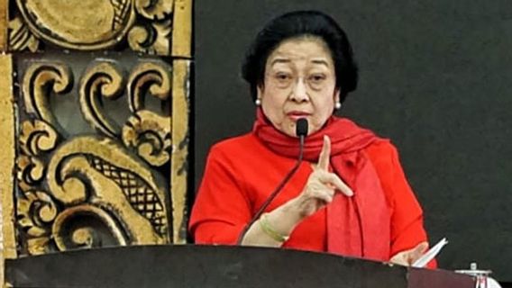Megawati Titip Pesan ke Wakilnya Gibran: Bilang Sama Pak Wali Kota, Jangan Sampai Tenggelam