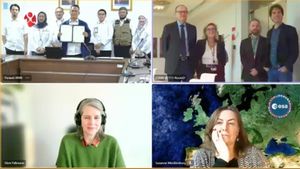 BRIN dan ESA Bermitra dalam Memanfaatkan Data Observasi Bumi