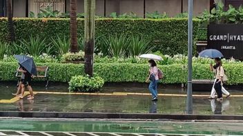 天候異常、乾季の異常な降雨量