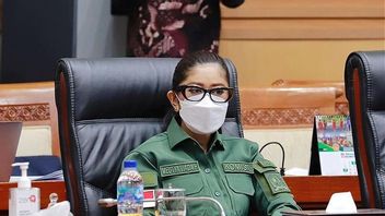 La Commission I De La Chambre Des Représentants Admet Que Le Président Jokowi A Du Mal à Choisir Le Candidat Au Poste De Commandant Du TNI, Meutya Hafid: Tout Va Bien