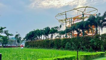 Pentingnya Ruang Terbuka Hijau dalam Rekreasi dan Edukasi Anak di Lingkungan Urban