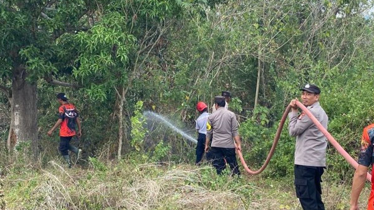 Pusat Data BNPB: Longsor, Banjir, Abrasi hingga Karhutla Terjadi Dalam Dua Hari