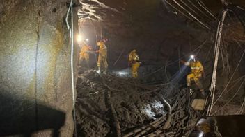 ミネルバの事務局長は、フリーポートは地下鉱山の地滑りの影響で制裁を受ける可能性があると述べた。