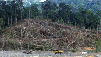 الموافقة على إنهاء إزالة الغابات بحلول عام 2030، القادة العالميون يعدون ميزانية Rp270 Trillion