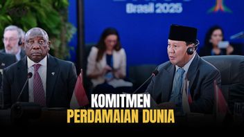 Indonesia Tegaskan Komitmen Perdamaian Dunia di Forum BRICS