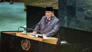 Presiden Prabowo Tegaskan Komitmen Indonesia Terhadap Solusi Dua Negara dan Akhiri Tragedi Gaza