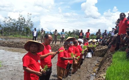 Gereja Katolik di Kimbim Jayawijaya Ajak Warga Garap Lahan Tidur, Bupati Jhon Richard Beri Pujian: Ini Menjadi Contoh