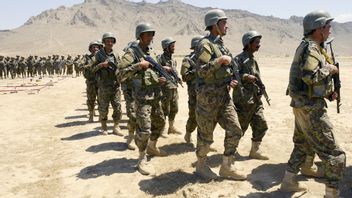 Clashes With Afghan Military: 55 Taliban Killed, 90 Injured