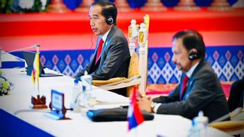 在东盟柬埔寨峰会上，佐科总统呼吁停止缅甸的暴力