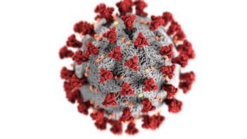 Sharp Jump, Influenza Cases in the United States Highest in the Last 25 Years