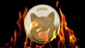 Shiba Inu Experiences 8000% Burn Rate Surge