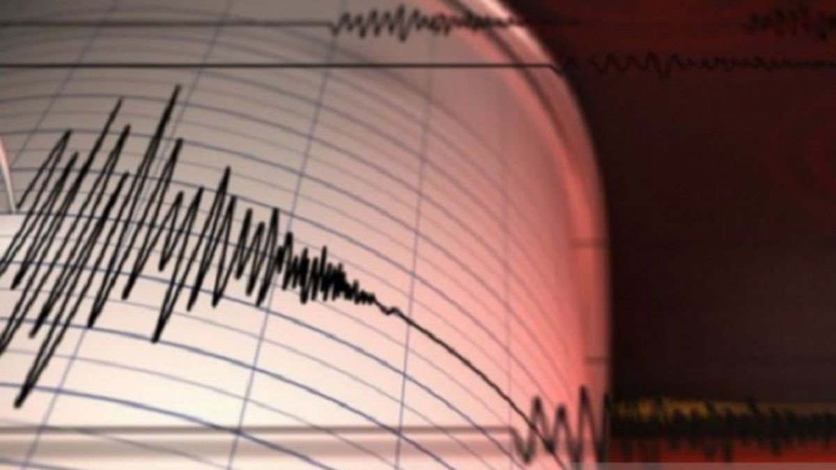 Gempa 4,5 Magnitudo Guncang Kota Jayapura Papua, BMKG Minta Warga Waspada Susulan