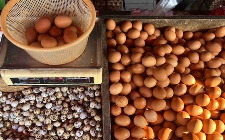 Daftar Harga Pangan Pekan Ini, Telur Ayam Ras Naik Rp600 per Kilogram