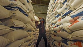 Bulog确保亚齐的大米供应在未来3个月内是安全的
