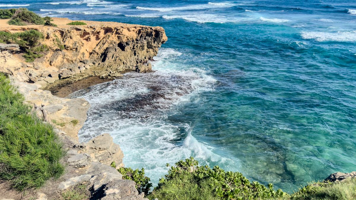 Helikopter Wisata Jatuh di Pulau Hawaii, Satu Orang Tewas-2 Hilang