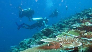 KKP、ティドーレ海洋観光を最適化する海洋考古学を研究