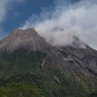 Gunung Merapi Meletus, Luncurkan Awan Panas 2,5 Km ke Kali Boyong