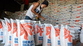 斯里 · 穆利亚尼耗尽布洛格的 3.5 万亿印尼盾大米用于社会援助： 所以可以购买收获的农民粮食