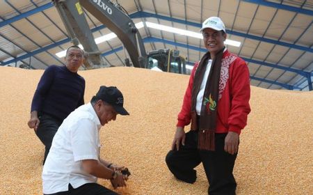 Mentan Amran Berharap Bulog Segera Serap Produksi Jagung Petani Dalam Negeri