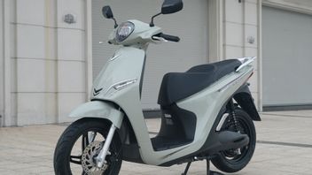 VinFastは3つの新しい電気モーターを発売し、262 kmの貫通距離と手頃な価格