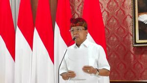 Wayan Koster Jelaskan Manfaat Besar UU Provinsi Bali