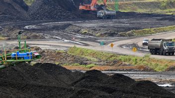 インドネシアは石炭危機を経験し、ガス化プロジェクトの運命は何ですか?