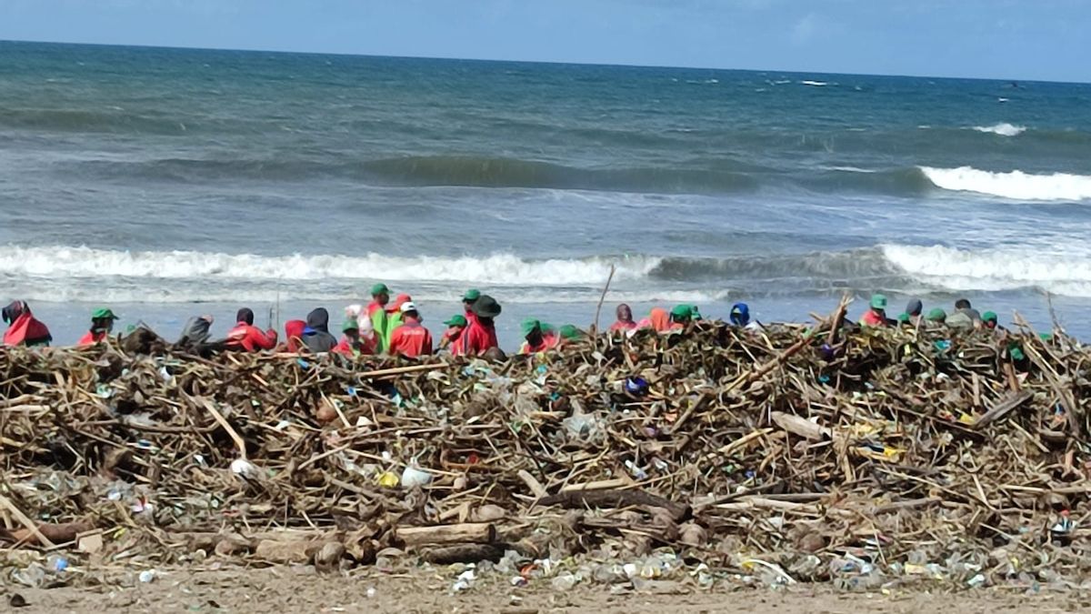 كومة من القمامة الخشبية على شاطئ بيراوة في بالي تصل إلى 400 طن
