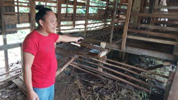 Goat Thief In Depok Leaves Offal In Cage, Victim: It's Often Happened Like This