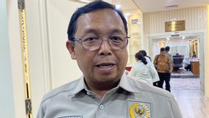 Danantara Dapat Mandat Urus Pupuk Subsidi, Perannya Revitalisasi dan Investasi