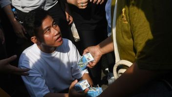 TKN Clarifies Central Jakarta Bawaslu Call Regarding Gibran Distributing Milk In CFD