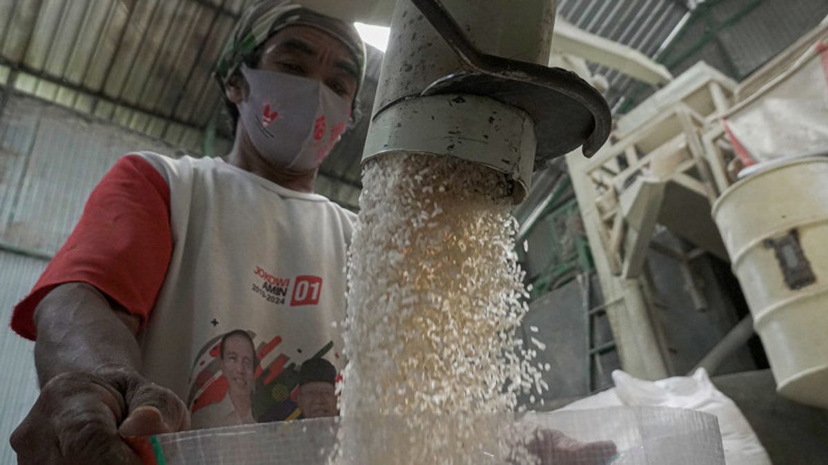 منتجي Curhat ، إمدادات الأرز المتميزة الصعبة للتجزئة الحديثة لأن HET ليست متوافقة مع تكاليف الإنتاج