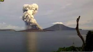 Anak Krakatau Erupsi, Badan Geologi Ingatkan Jaga Jarak 2 Km dari Kawah