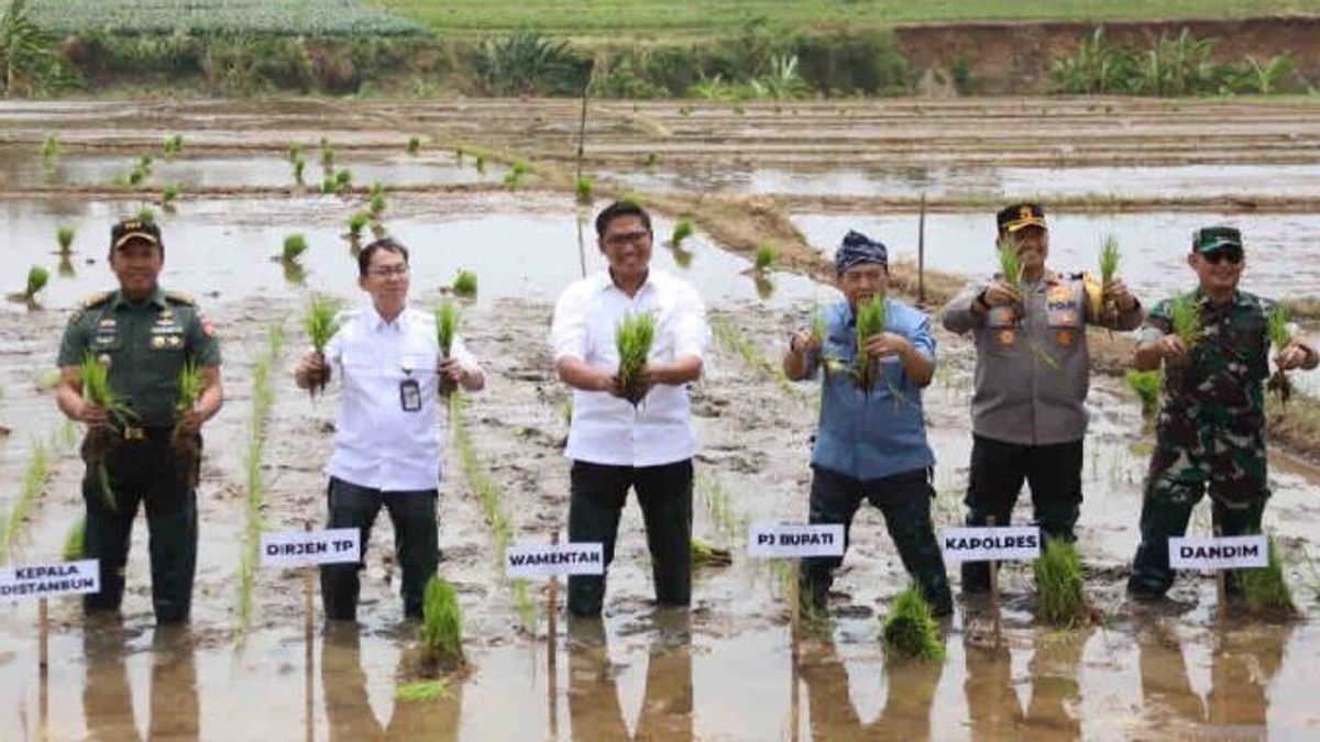 Wamentan Sudaryono Pastikan Ketersediaan Pupuk Guna Kejar Masa Tanam di Oktober