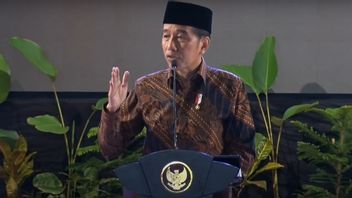 Jokowi Regarding The Capital City Moving To IKN Nusantara, Jokowi: The Main Reason For Equity