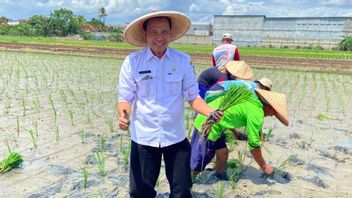 불확실한 날씨, DKP Tangerang는 농작물 실패 완화를 준비하도록 DPRD를 촉구합니다.