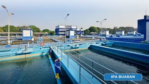 Like Singapore, Jakarta Must Start Developing Pipe Drinking Water Services