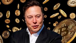 Makin Nyentrik! Elon Musk Punya Julukan Baru Namanya Technoking
