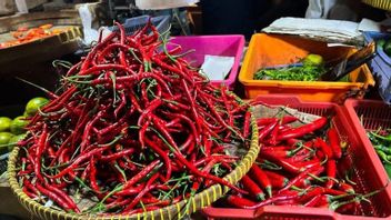 Pramono承诺，在两周内，卷曲辣椒的价格将再次正常化，DKI准备干预 