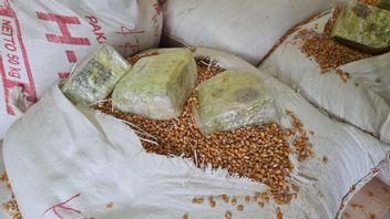 BNN禁止在玉米麻袋中走私几百公斤沙布