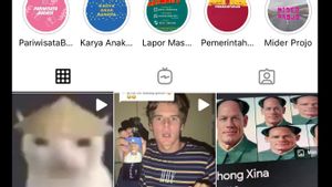Ada Gambar Kucing Putih Bertuliskan China dan Postingan Aneh, Instagram Pemkot Solo Di-<i>hack</i>?